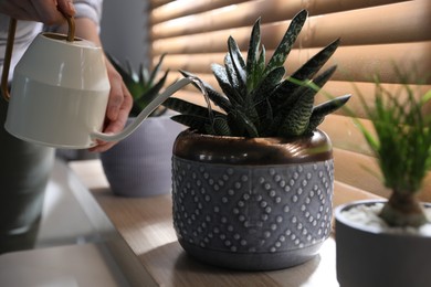 Woman watering beautiful potted plant on window sill, closeup. Floral house decor