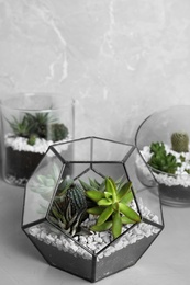 Photo of Glass florariums with different succulents on table against grey background, space for text