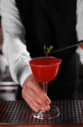 Bartender preparing fresh Martini cocktail in glass at bar counter, closeup