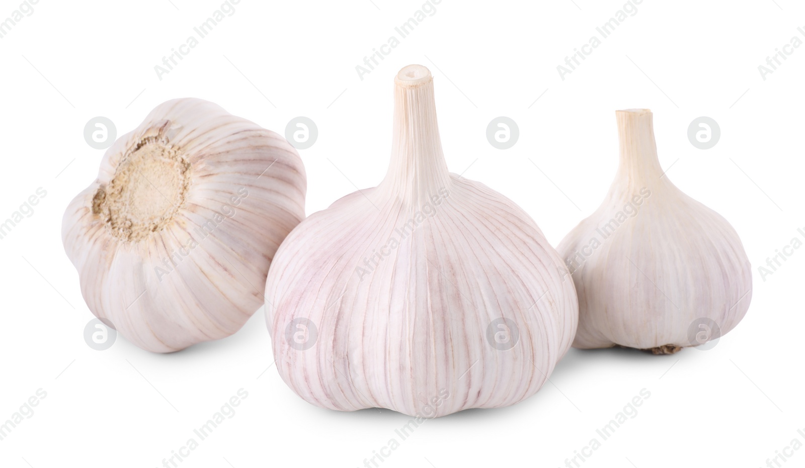 Photo of Heads of fresh garlic isolated on white