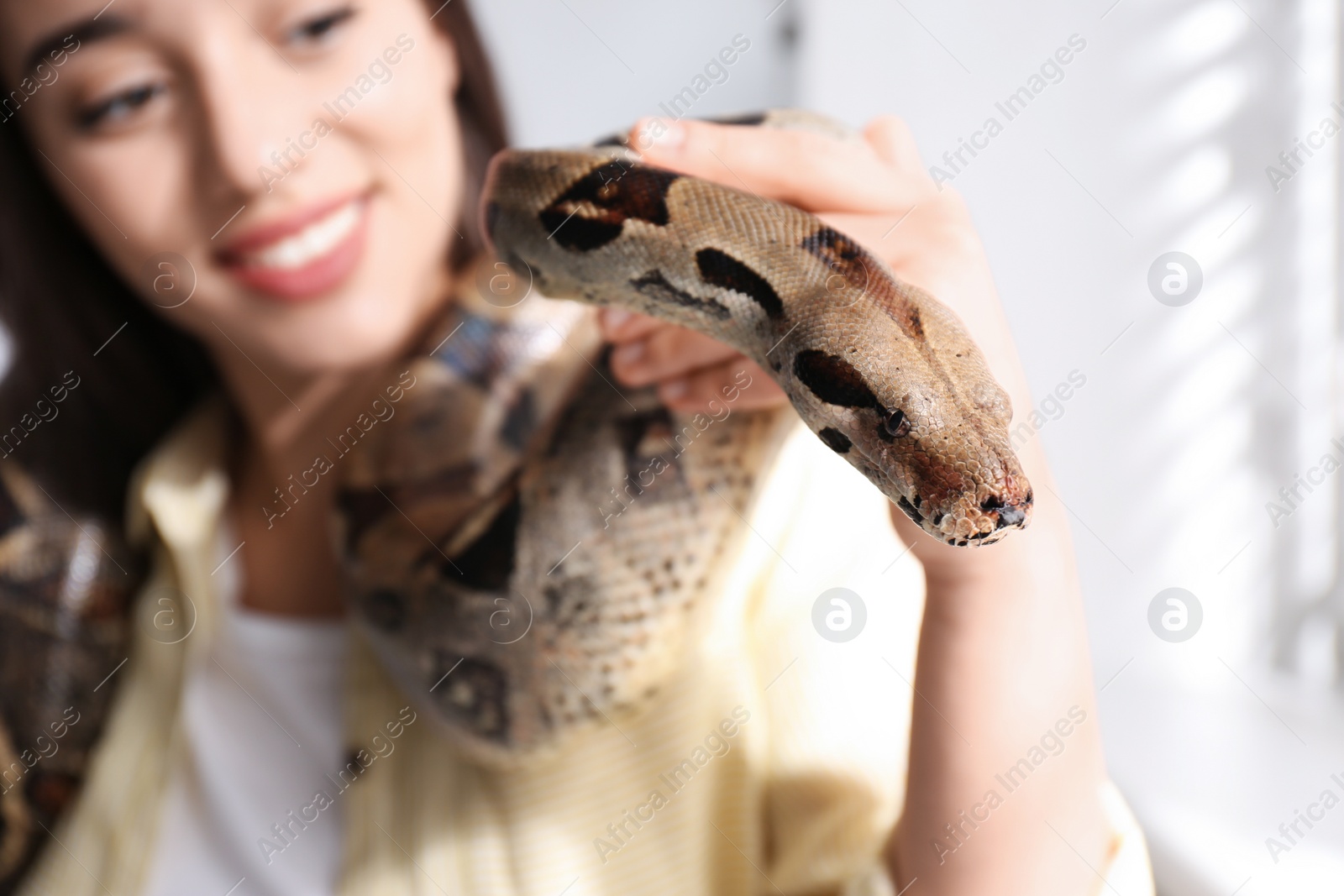 Photo of Young woman with her boa constrictor at home, focus on hand