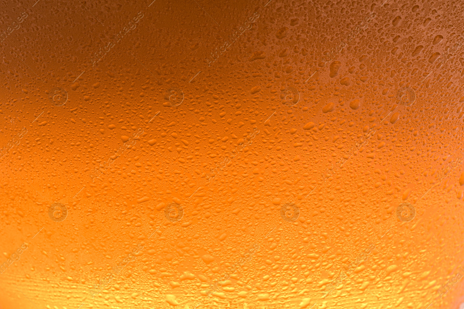 Photo of Glass of tasty cold beer with condensation drops as background, closeup