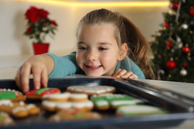 Photo of Cute little girl taking fresh Christmas gingerbread cookie from baking sheet at table indoors