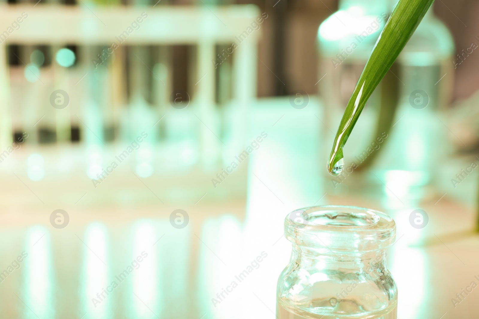 Photo of Clear drop falling from leaf into small bottle on blurred background, closeup with space for text. Plant chemistry