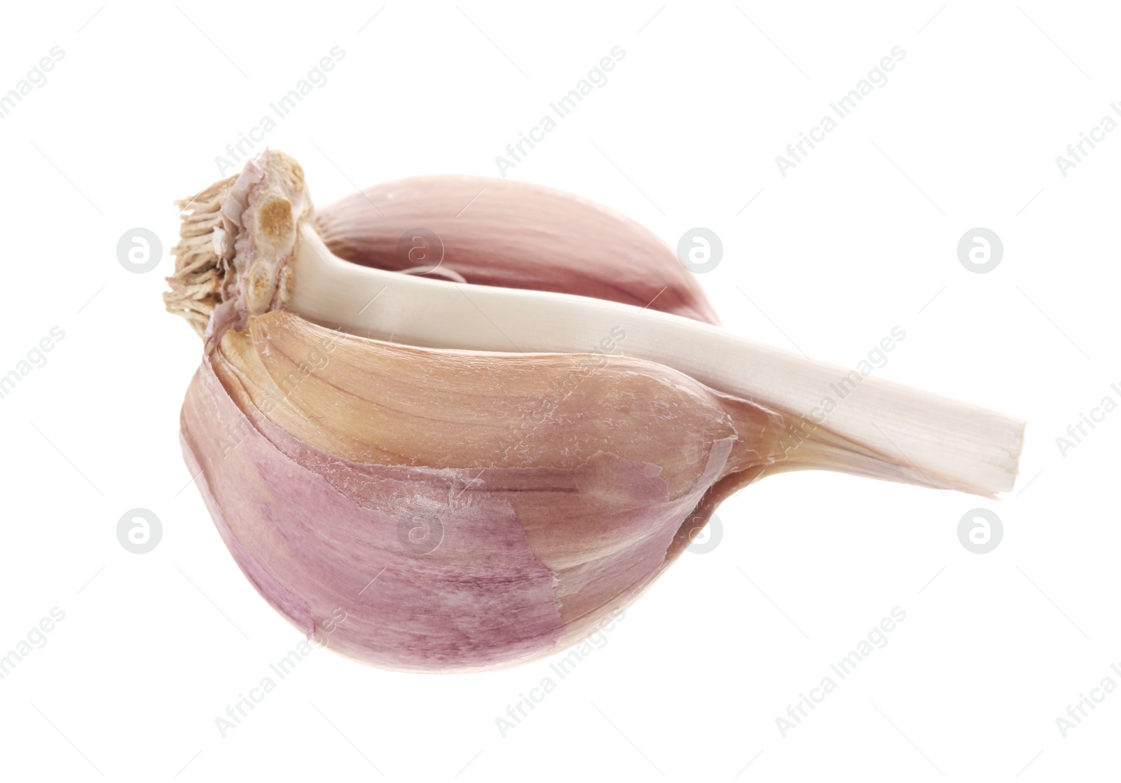 Photo of Cloves of fresh garlic isolated on white