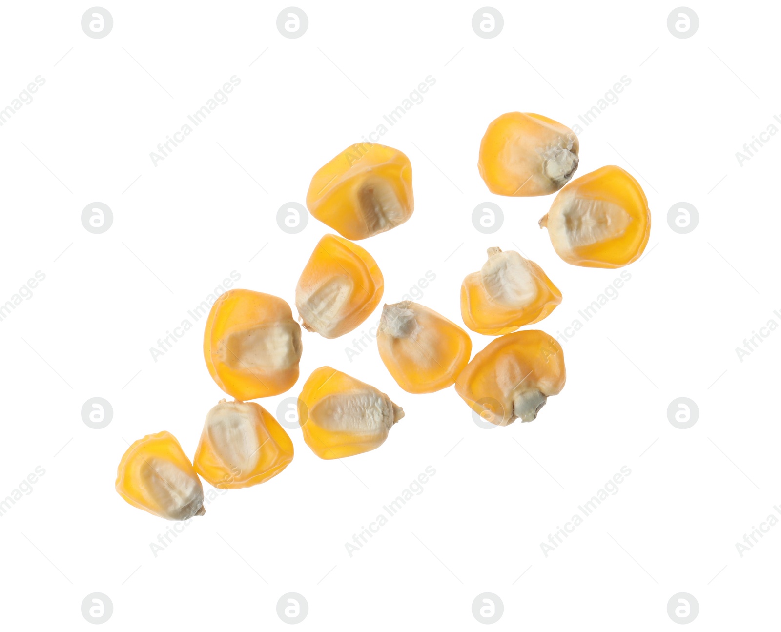 Photo of Raw dry corn seeds on white background, top view. Vegetable planting