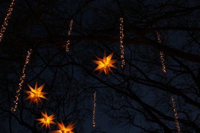 Photo of Beautiful Christmas lights hanging from trees in evening, low angle view