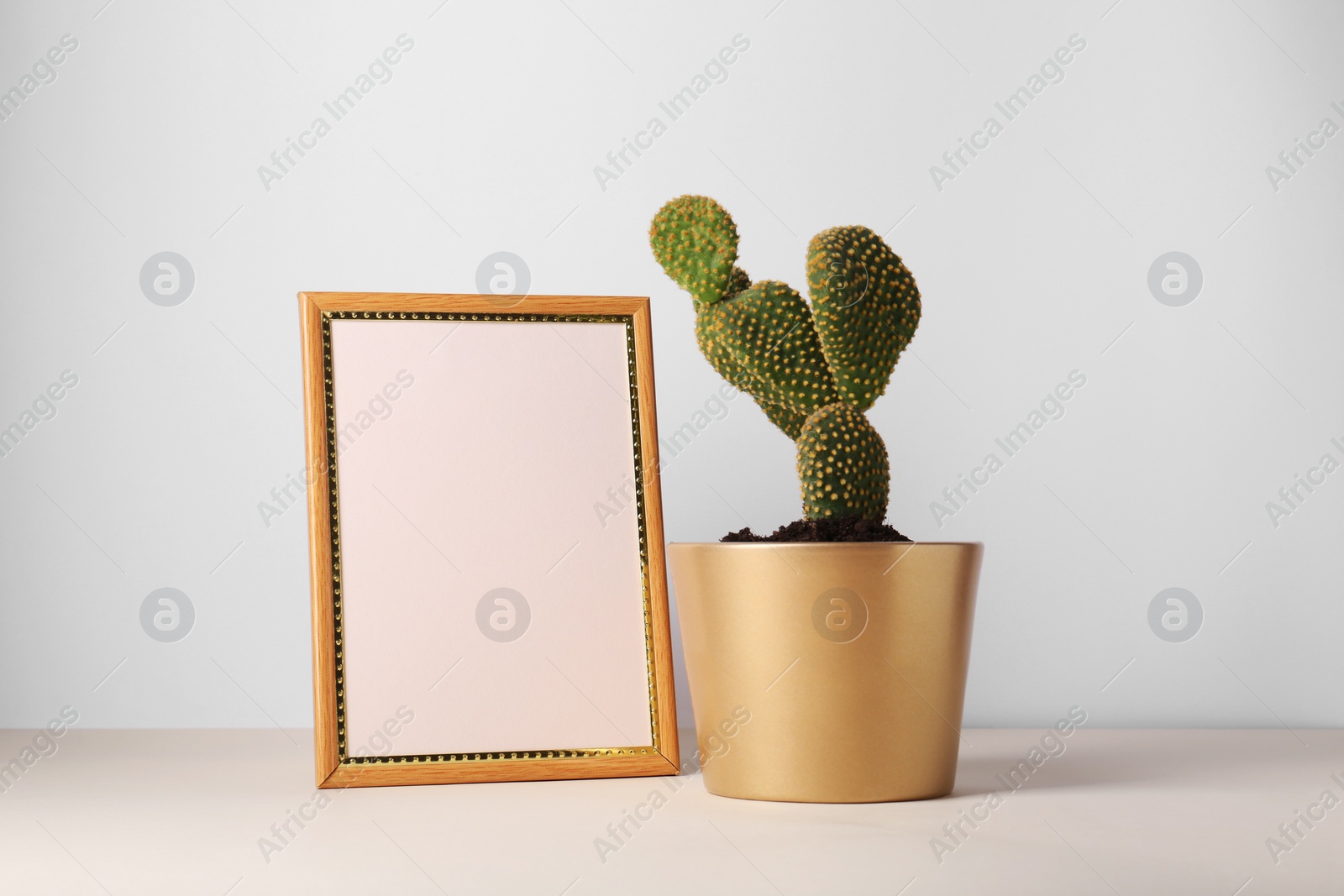 Photo of Beautiful cactus in pot and frame on beige table