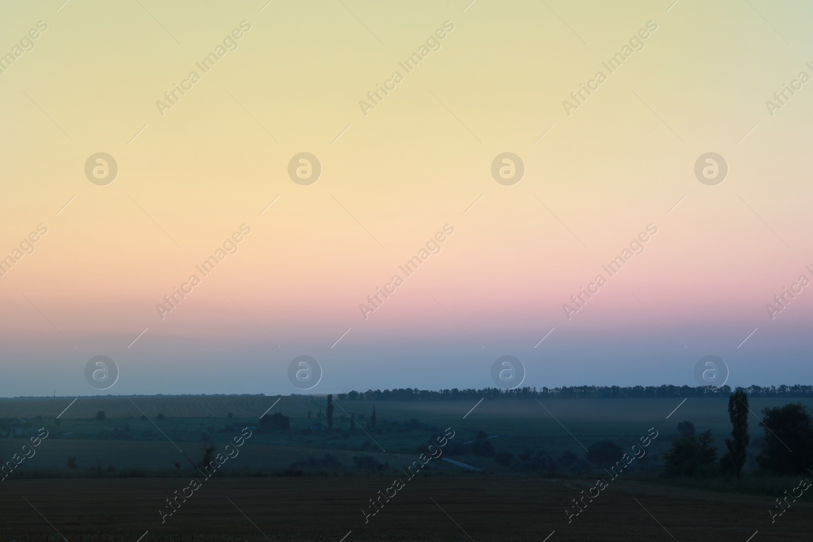 Photo of Picturesque view of beautiful field in morning