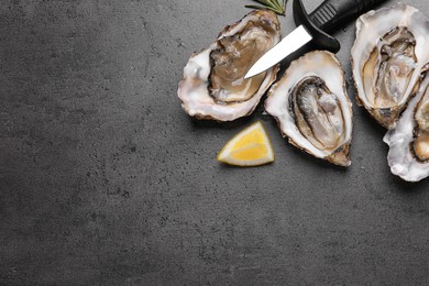 Photo of Fresh oysters with lemon, rosemary and knife on grey table, flat lay. Space for text