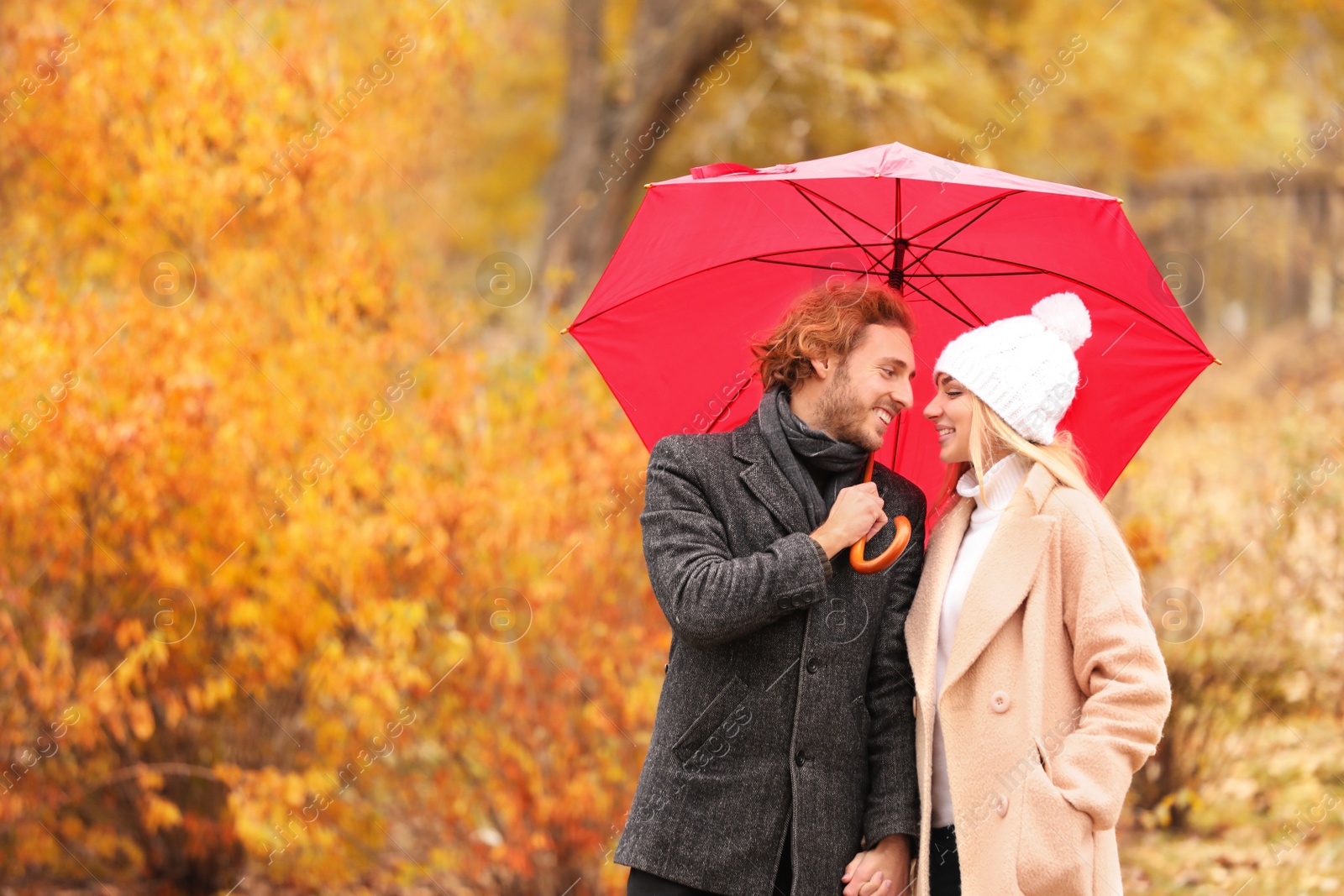 Photo of Young romantic couple with umbrella in park on autumn day