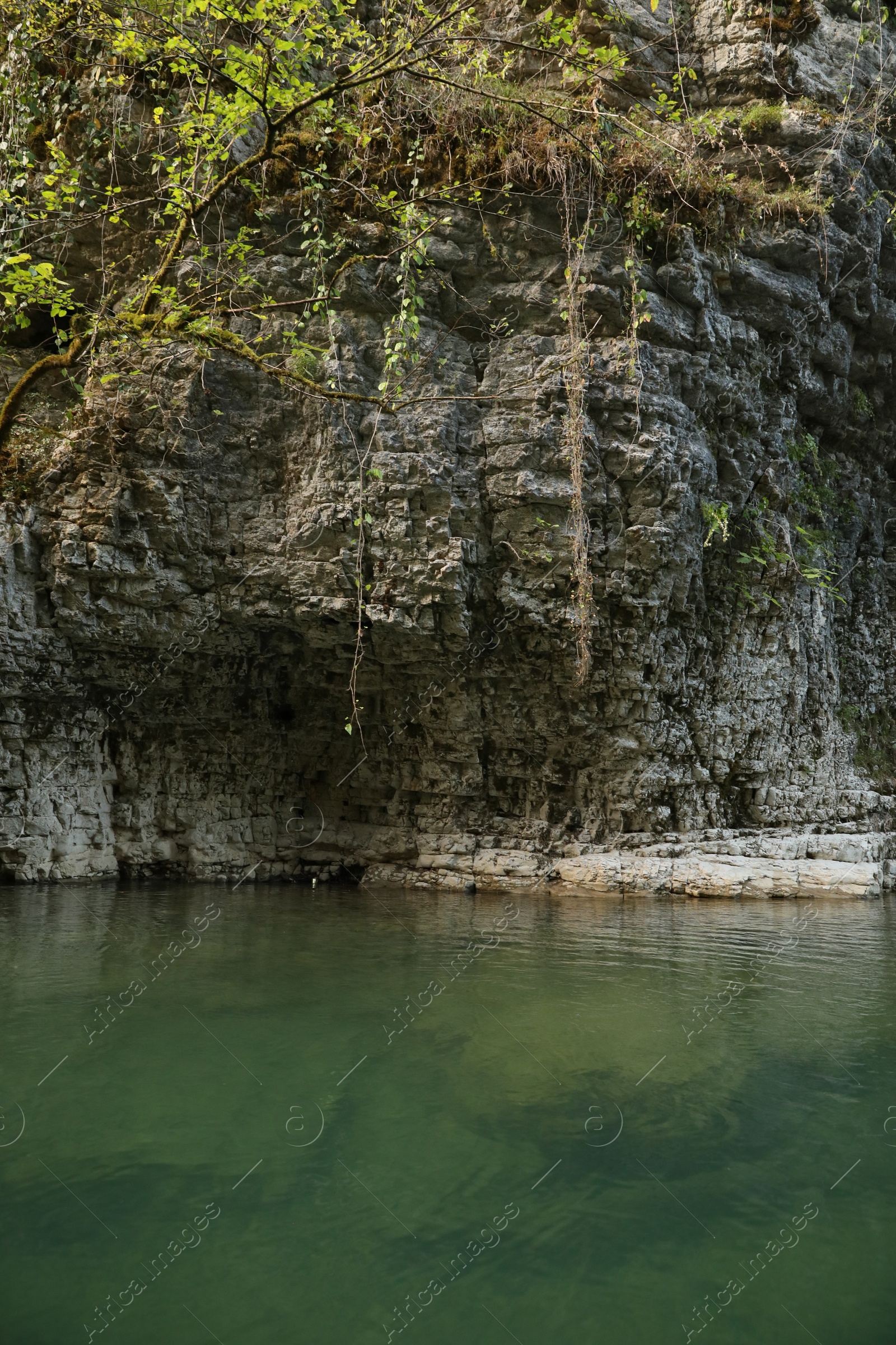 Photo of Picturesque view of clean river near cliffs and plants outdoors