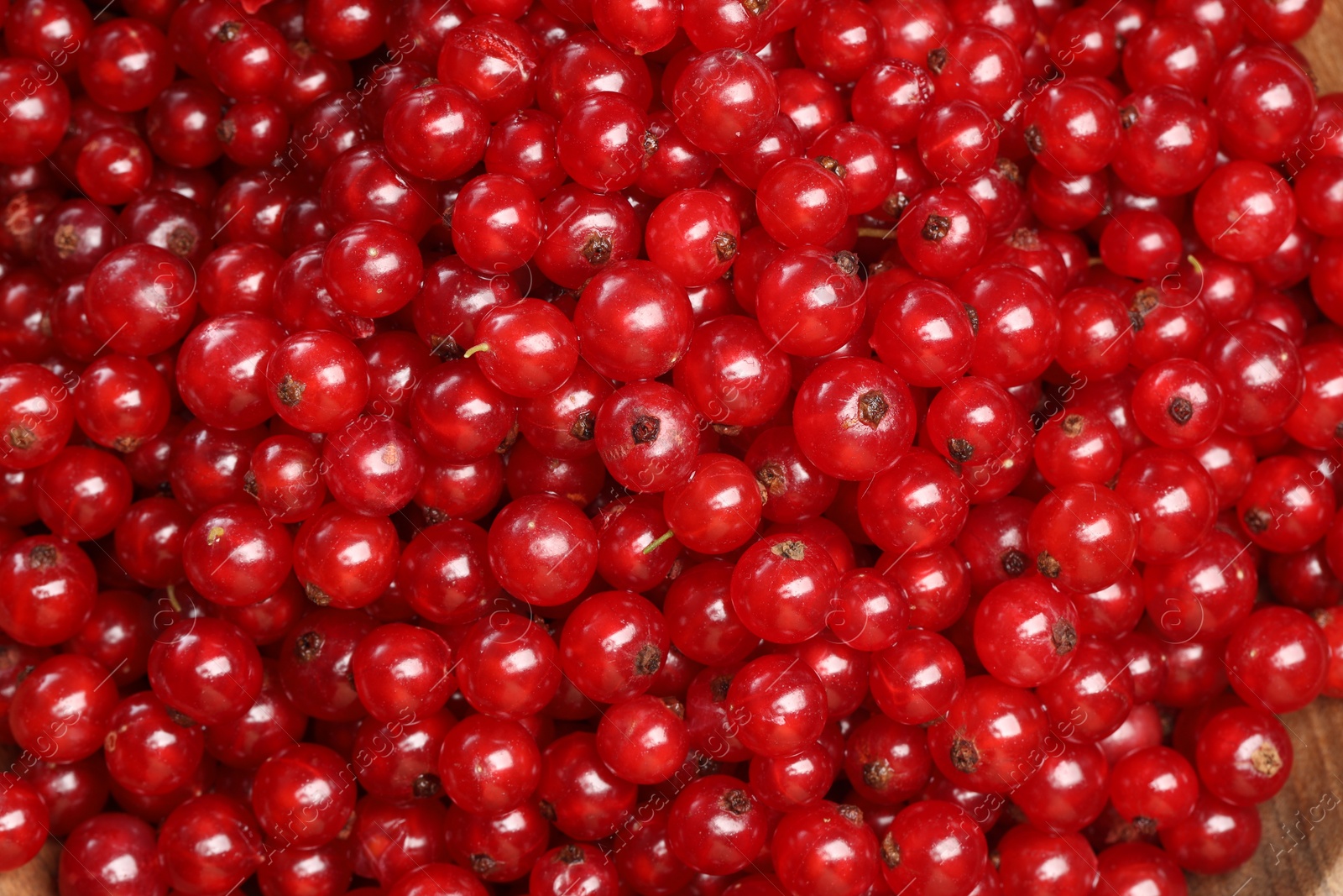 Photo of Many tasty fresh red currants as background, closeup