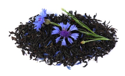 Photo of Dried cornflower tea and fresh flowers on white background