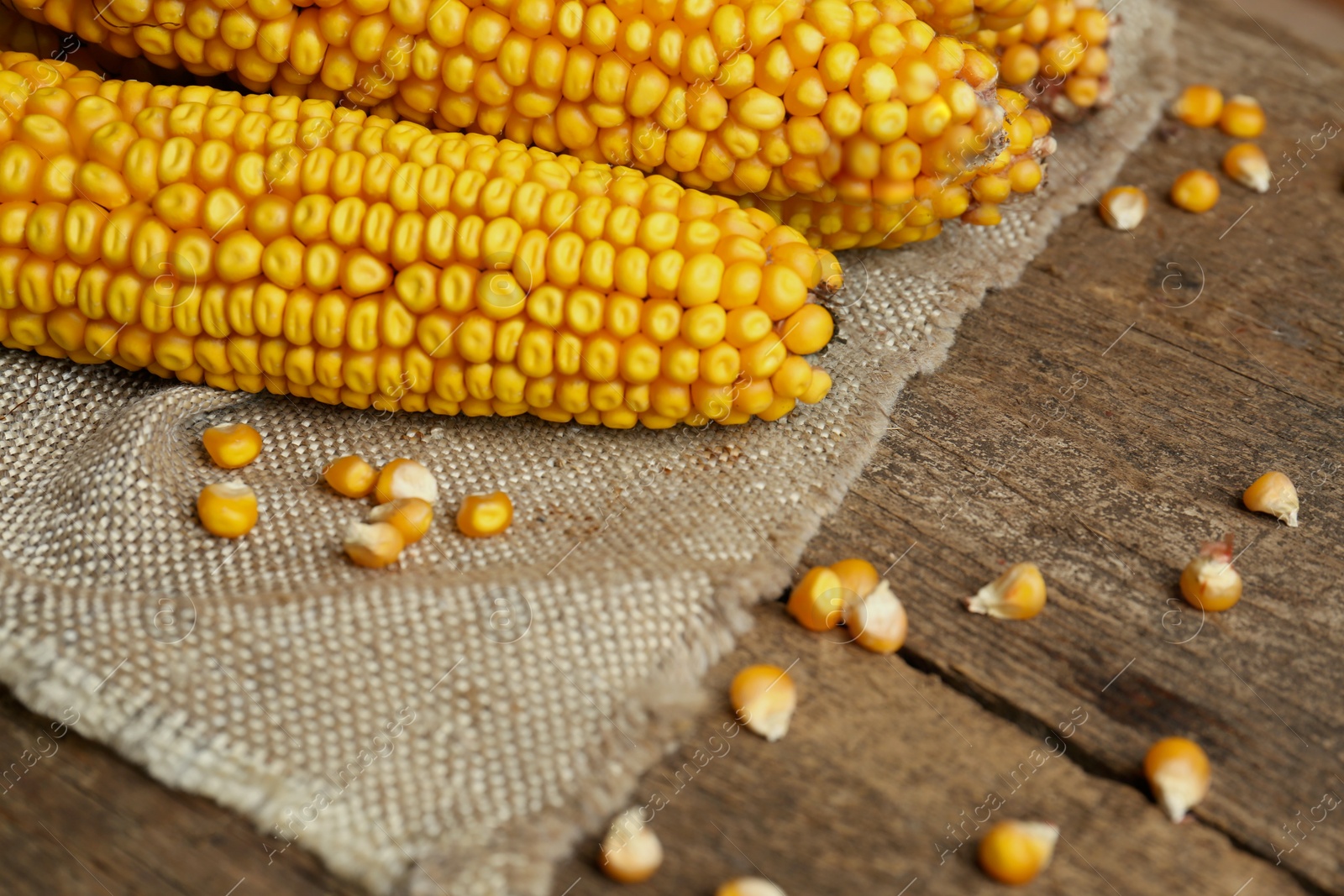 Photo of Delicious ripe corn cobs on wooden table, closeup