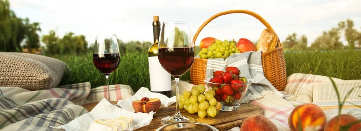 Image of Picnic blanket with delicious food and wine on green grass. Banner design
