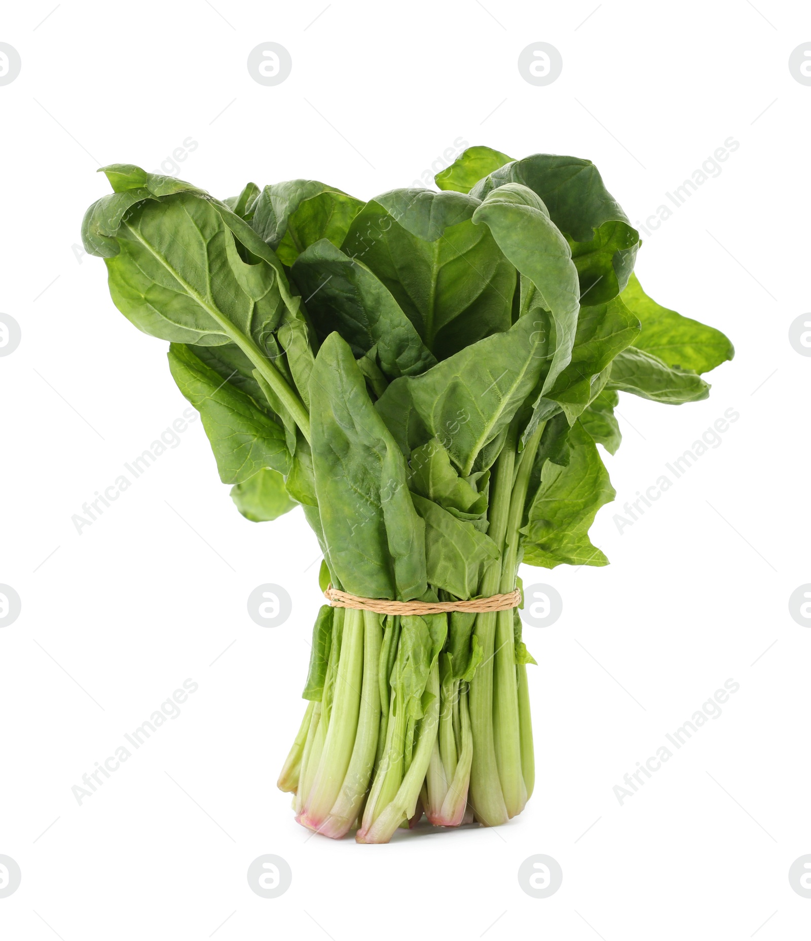 Photo of Bundle of fresh spinach isolated on white