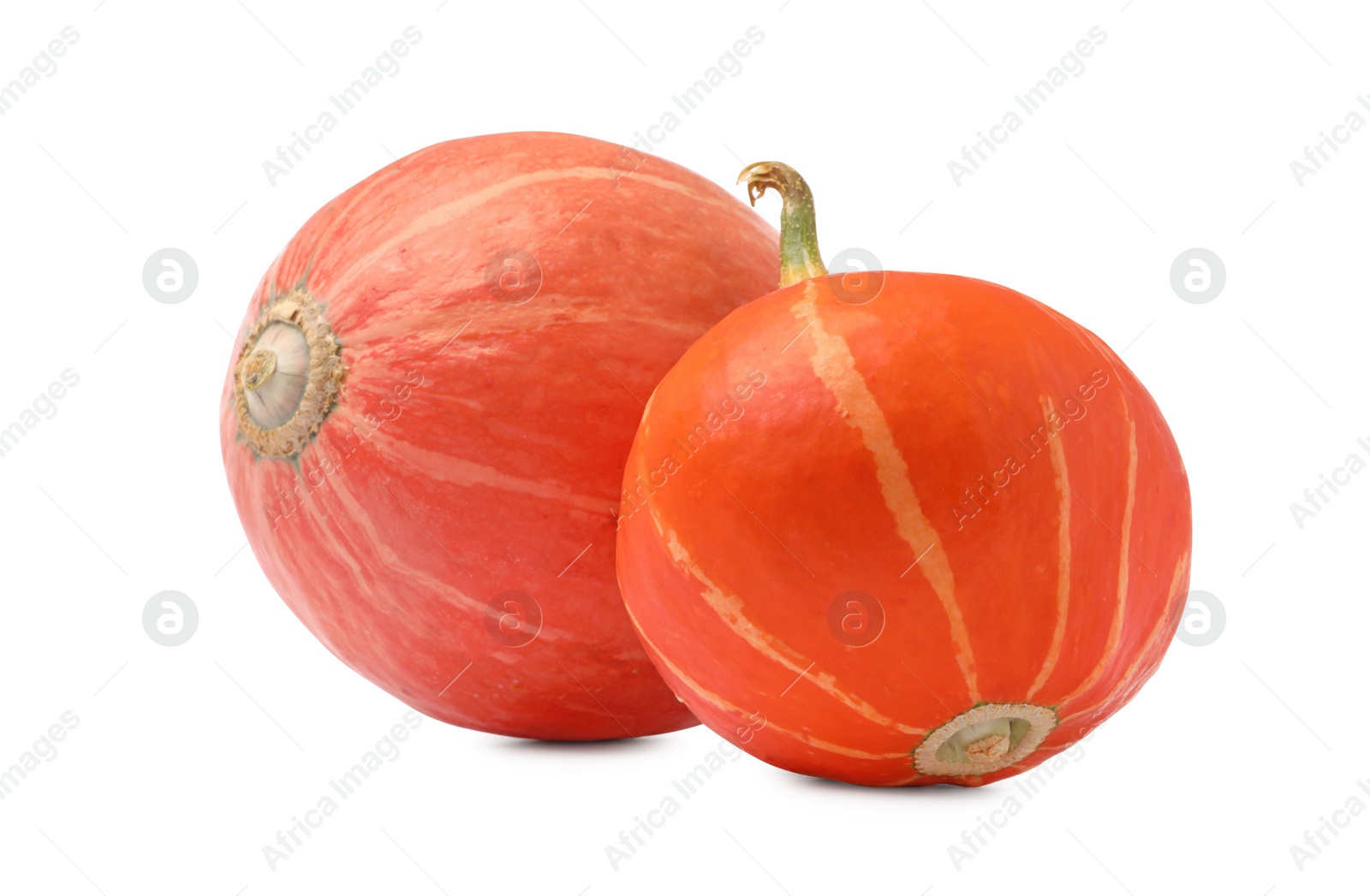 Photo of Two fresh orange pumpkins isolated on white