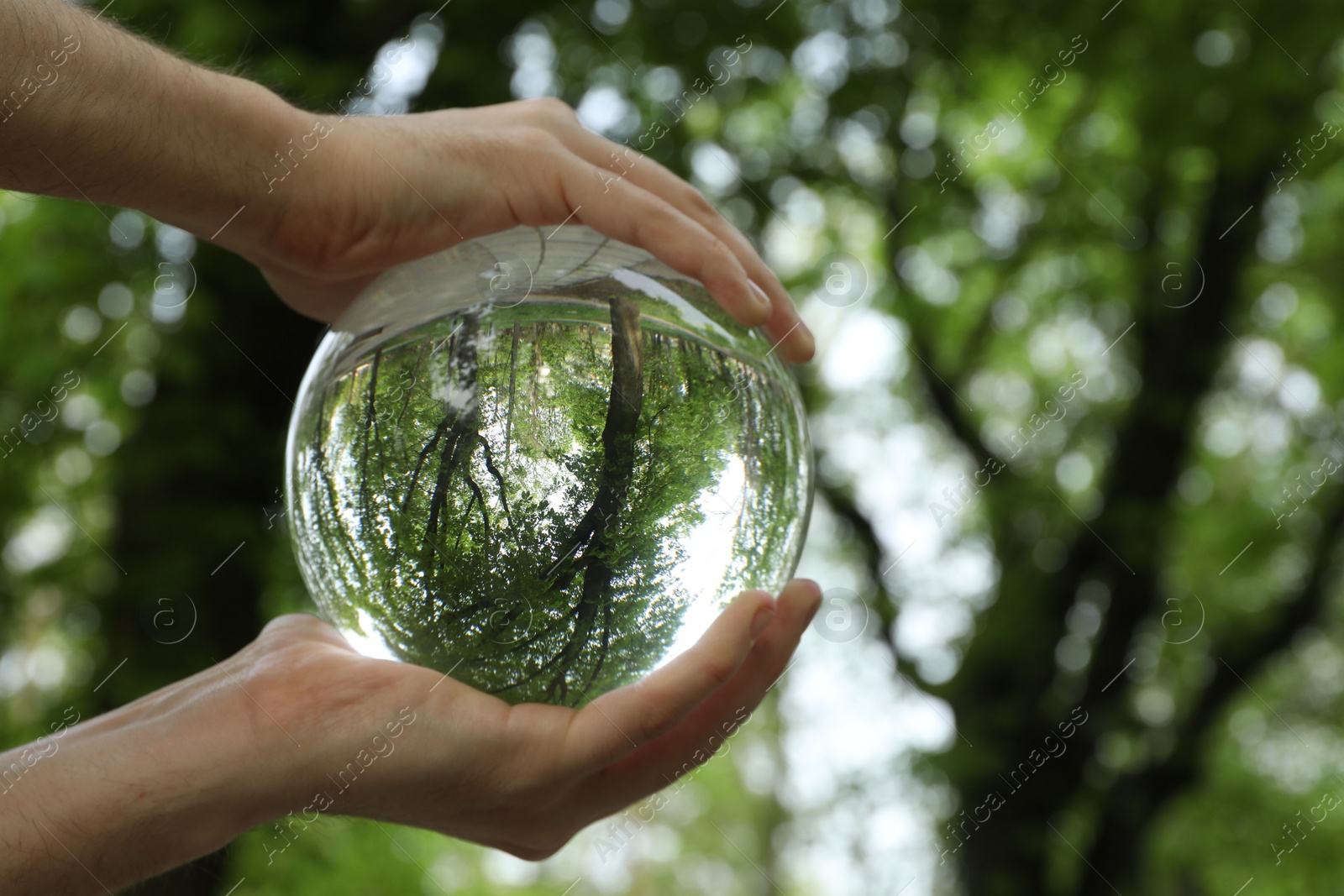 Photo of Beautiful green trees outdoors, overturned reflection. Man holding crystal ball in park, closeup. Space for text