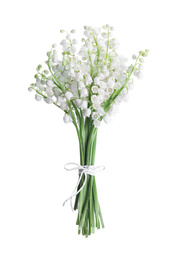 Photo of Beautiful lily of the valley flowers isolated on white