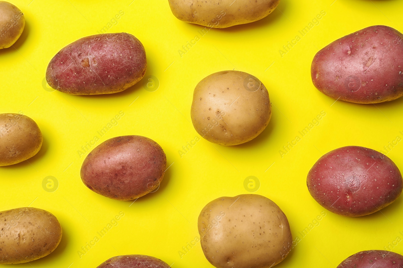 Photo of Flat lay composition with fresh organic potatoes on color background