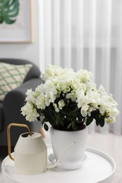 Beautiful azalea plant in flower pot and watering can on white table in room