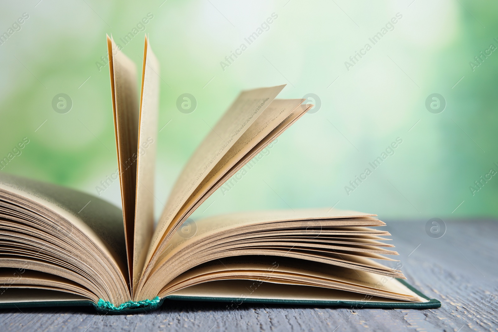 Photo of Open book on grey wooden table against blurred green background, closeup