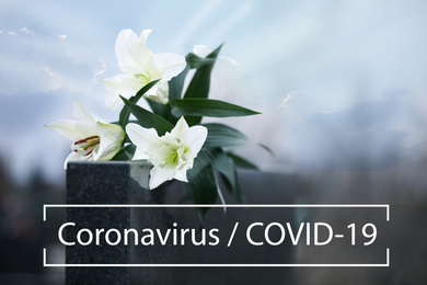 Image of Funeral ceremony devoted to coronavirus victims. White lilies on tombstone outdoors