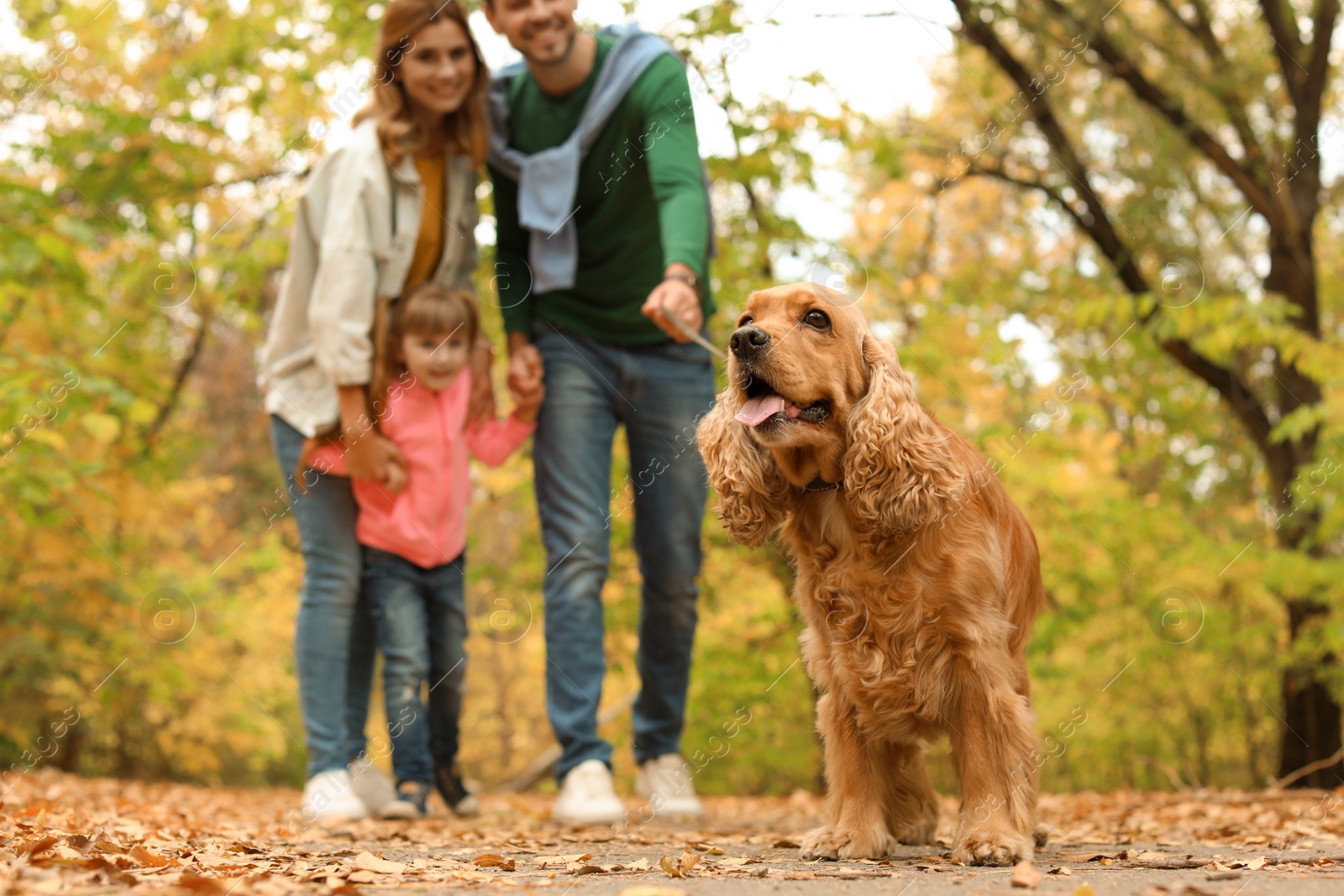 Photo of Happy family with child and dog in park. Autumn walk