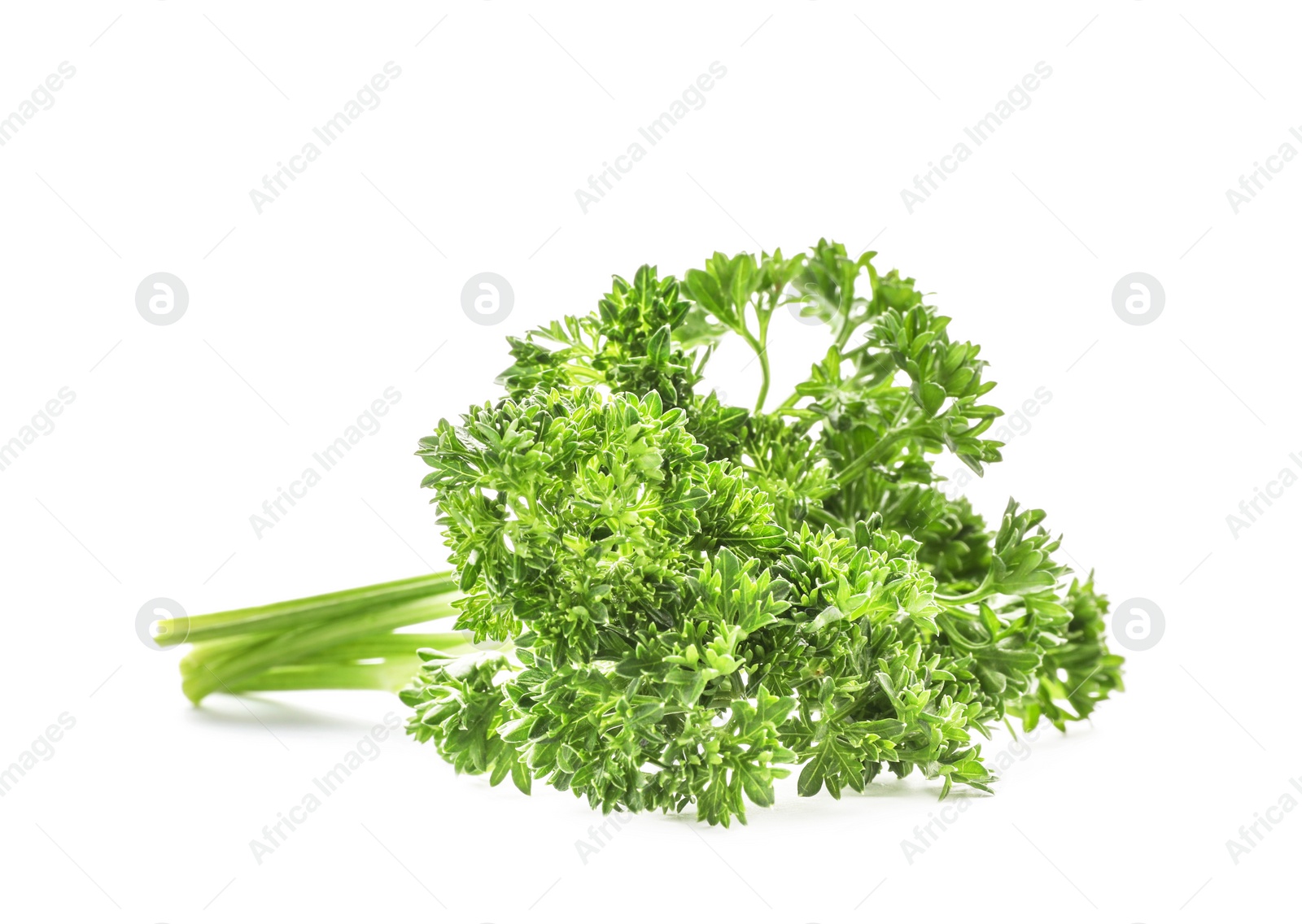 Photo of Fresh green parsley on white background