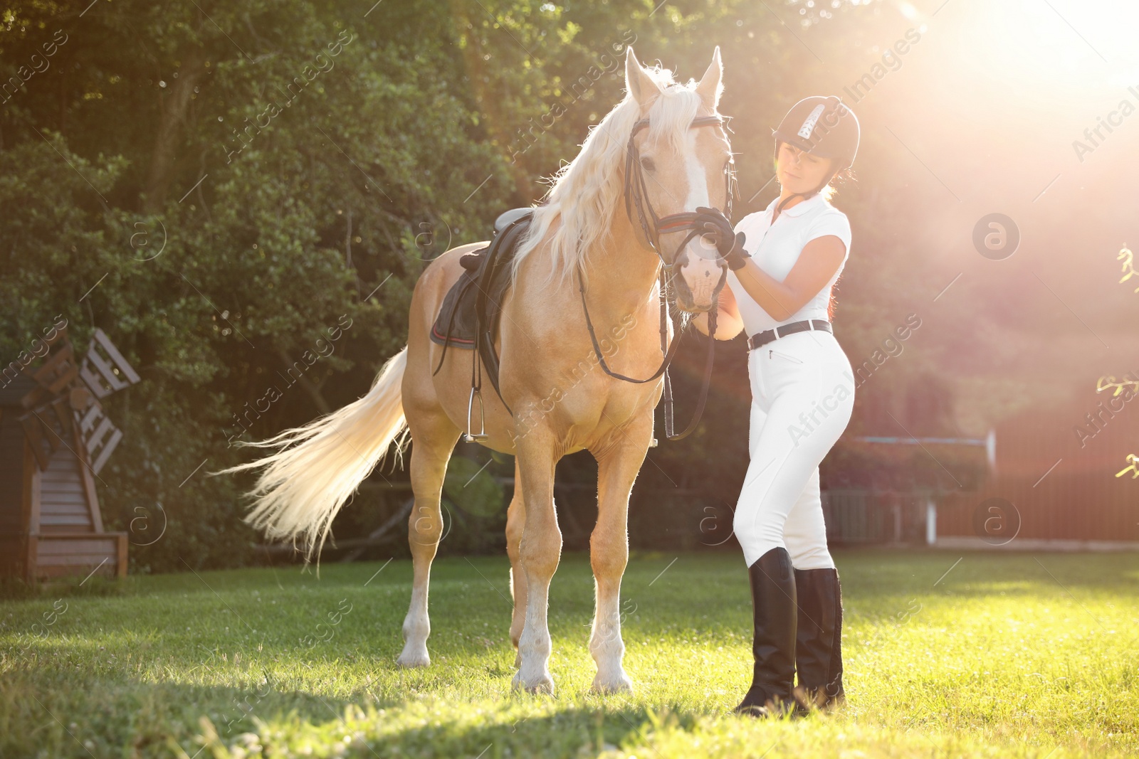 Photo of Young woman in horse riding suit and her beautiful pet outdoors on sunny day