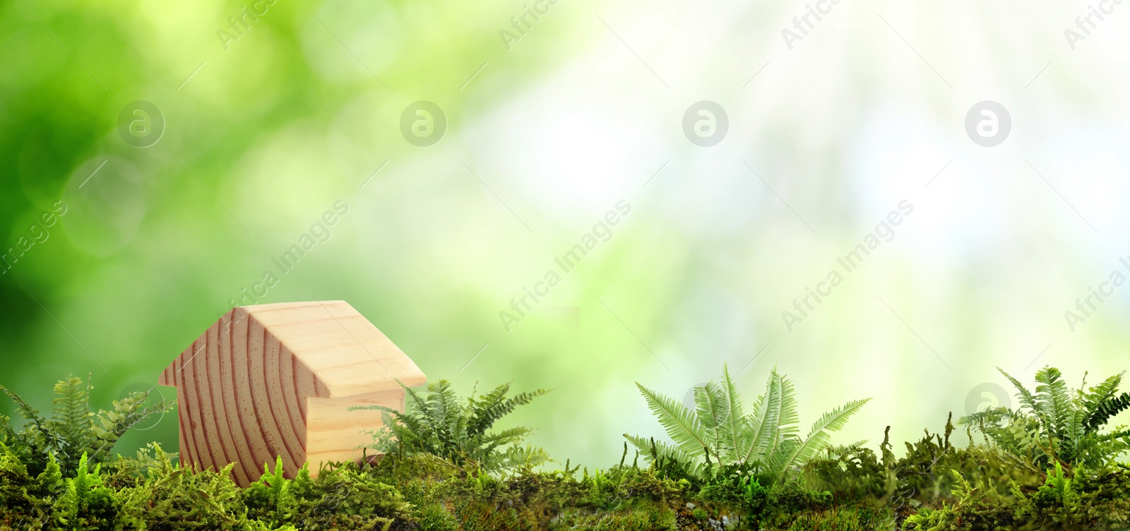 Image of Eco friendly home. House model on green grass outdoors, banner design with space for text