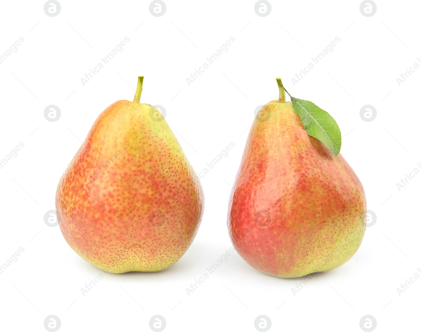 Photo of Ripe fresh juicy pears isolated on white