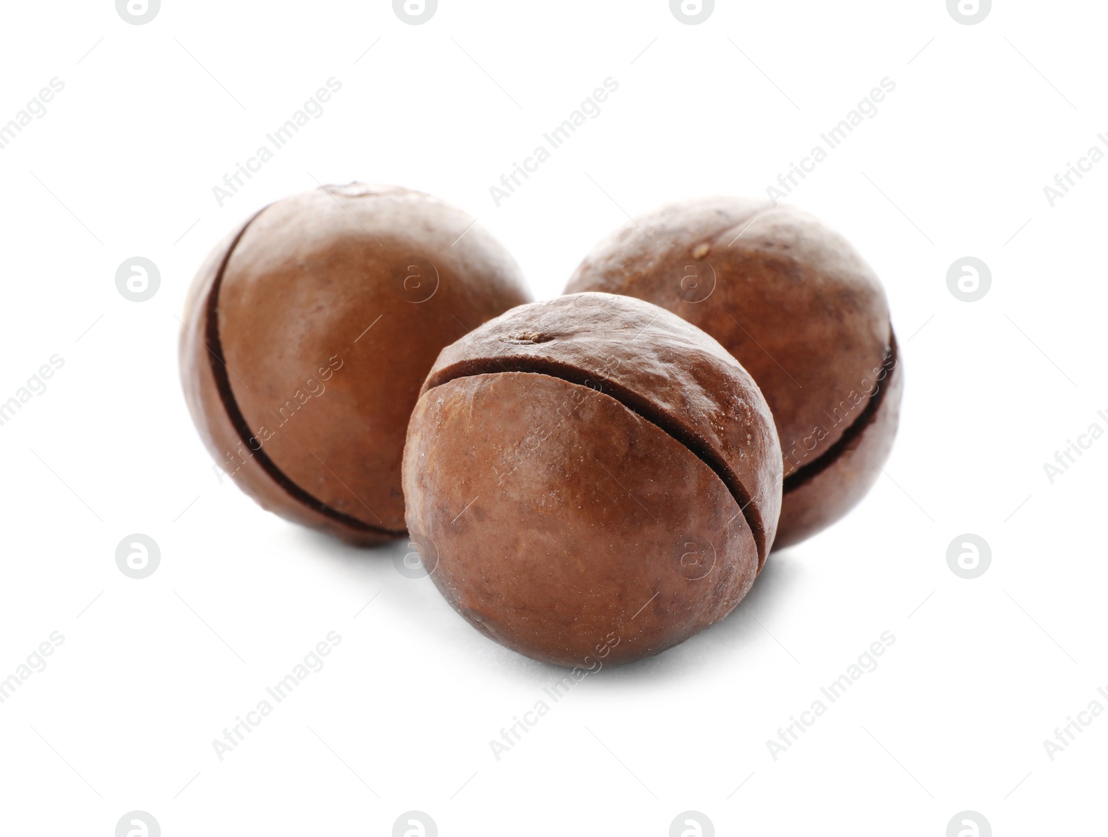 Photo of Three organic Macadamia nuts on white background