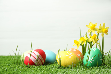 Colorful Easter eggs and narcissus flowers in green grass against white background. Space for text