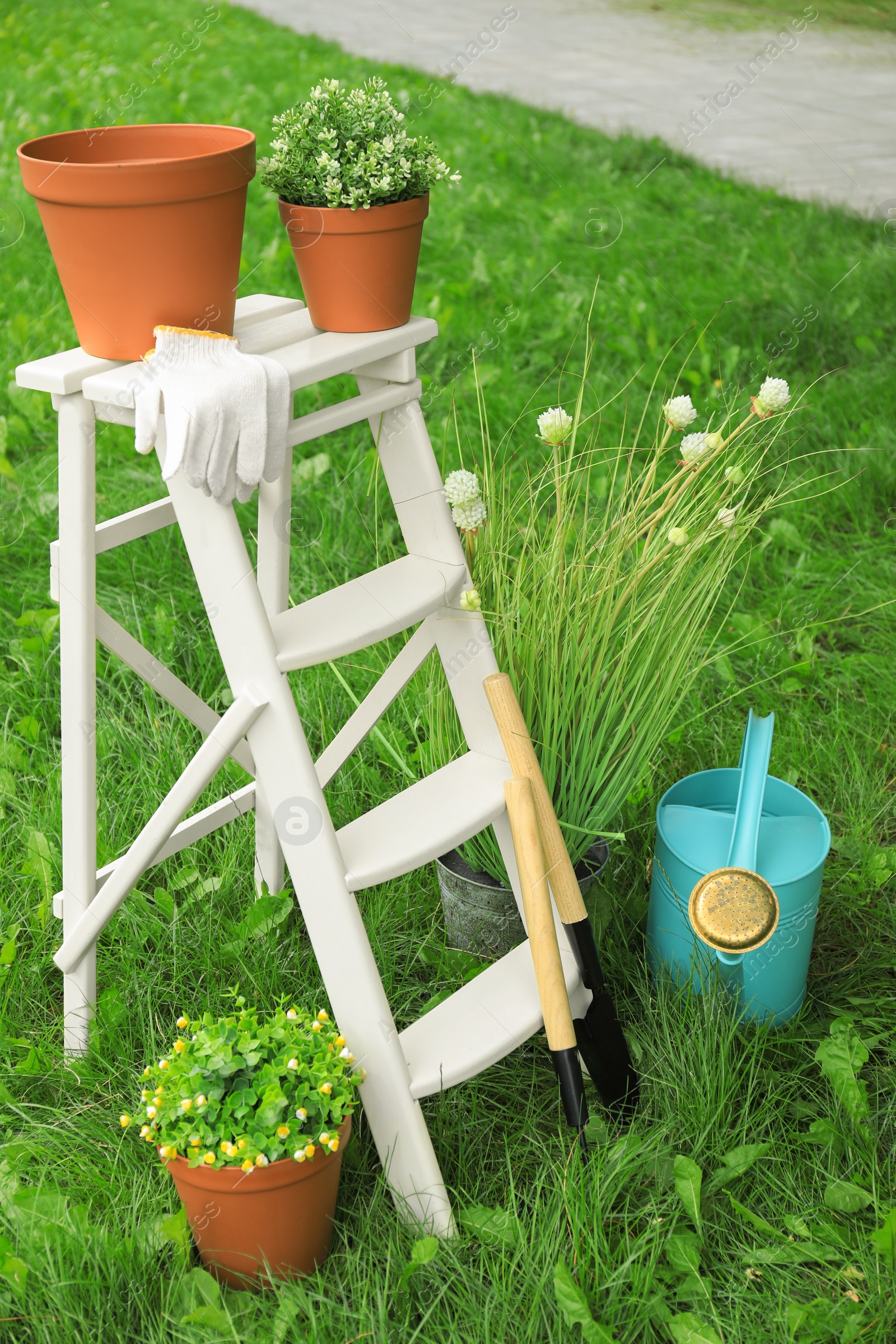 Photo of Composition with gardening tools on green grass