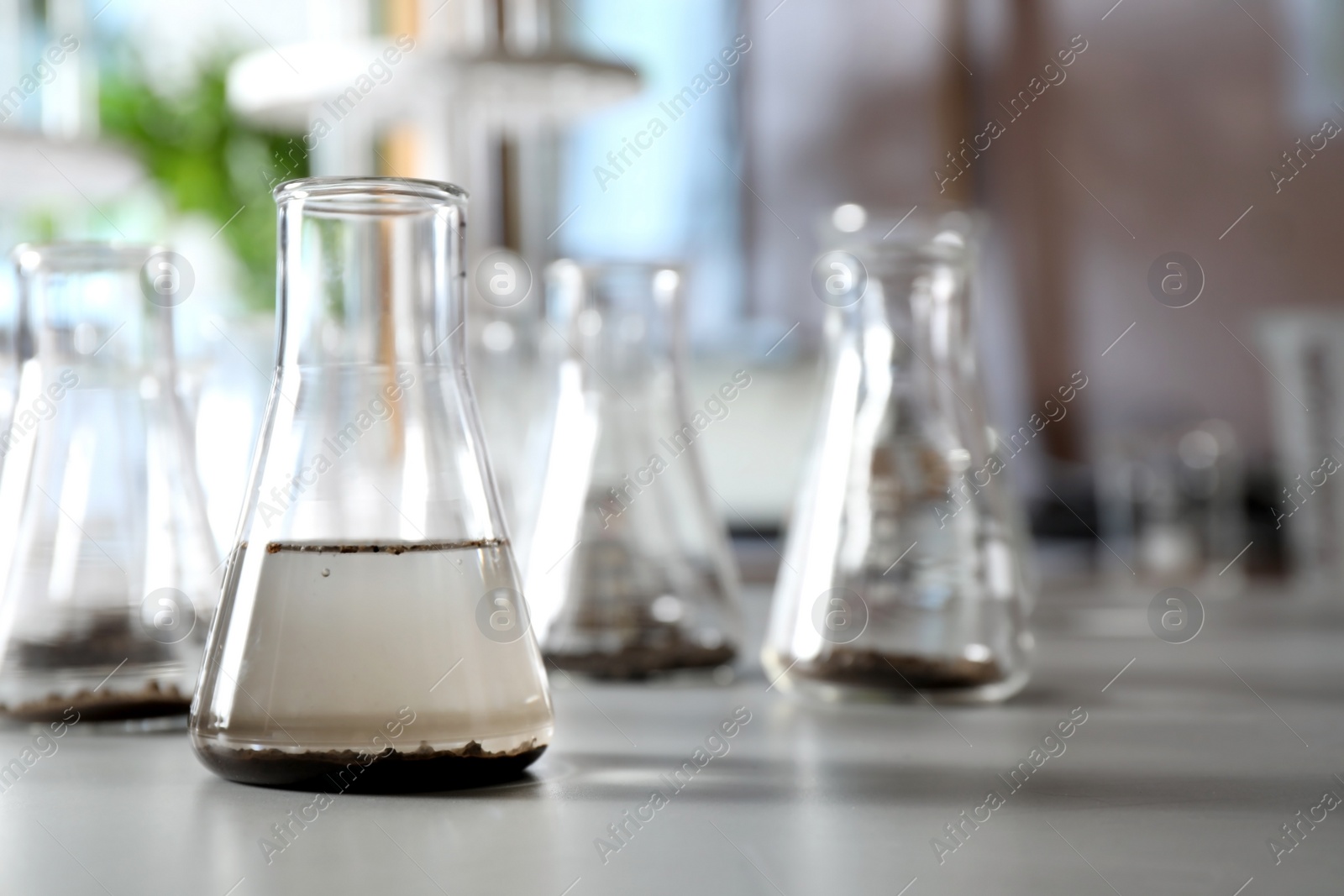 Photo of Glassware with soil samples and extract on grey table. Laboratory research