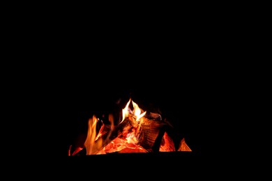 Photo of Beautiful view of bonfire at night. Camping season