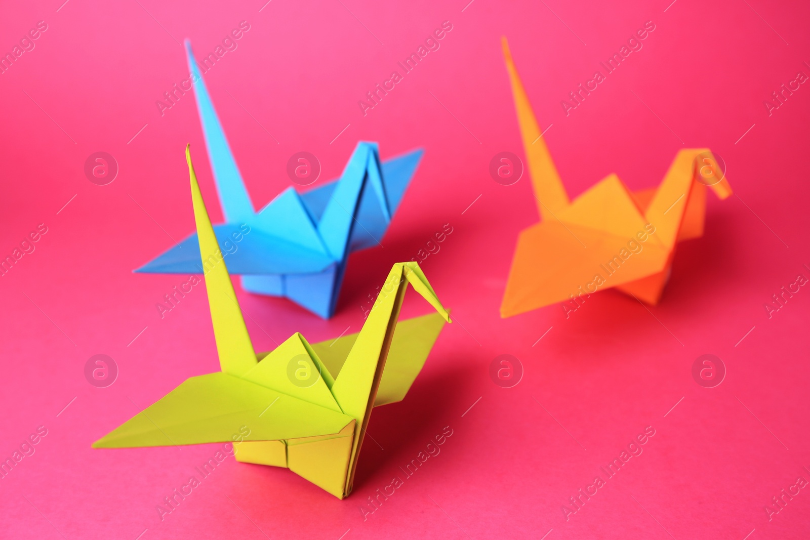 Photo of Origami art. Colorful handmade paper cranes on pink background