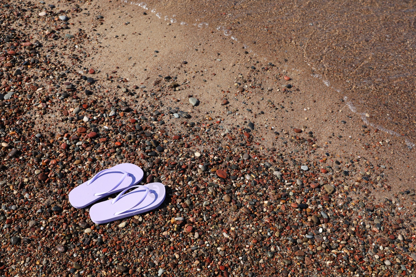 Photo of Stylish violet flip flops on beach pebbles, above view. Space for text