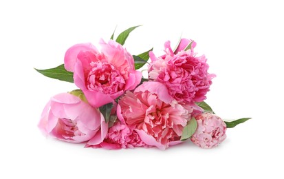 Photo of Bouquet of beautiful peonies on white background