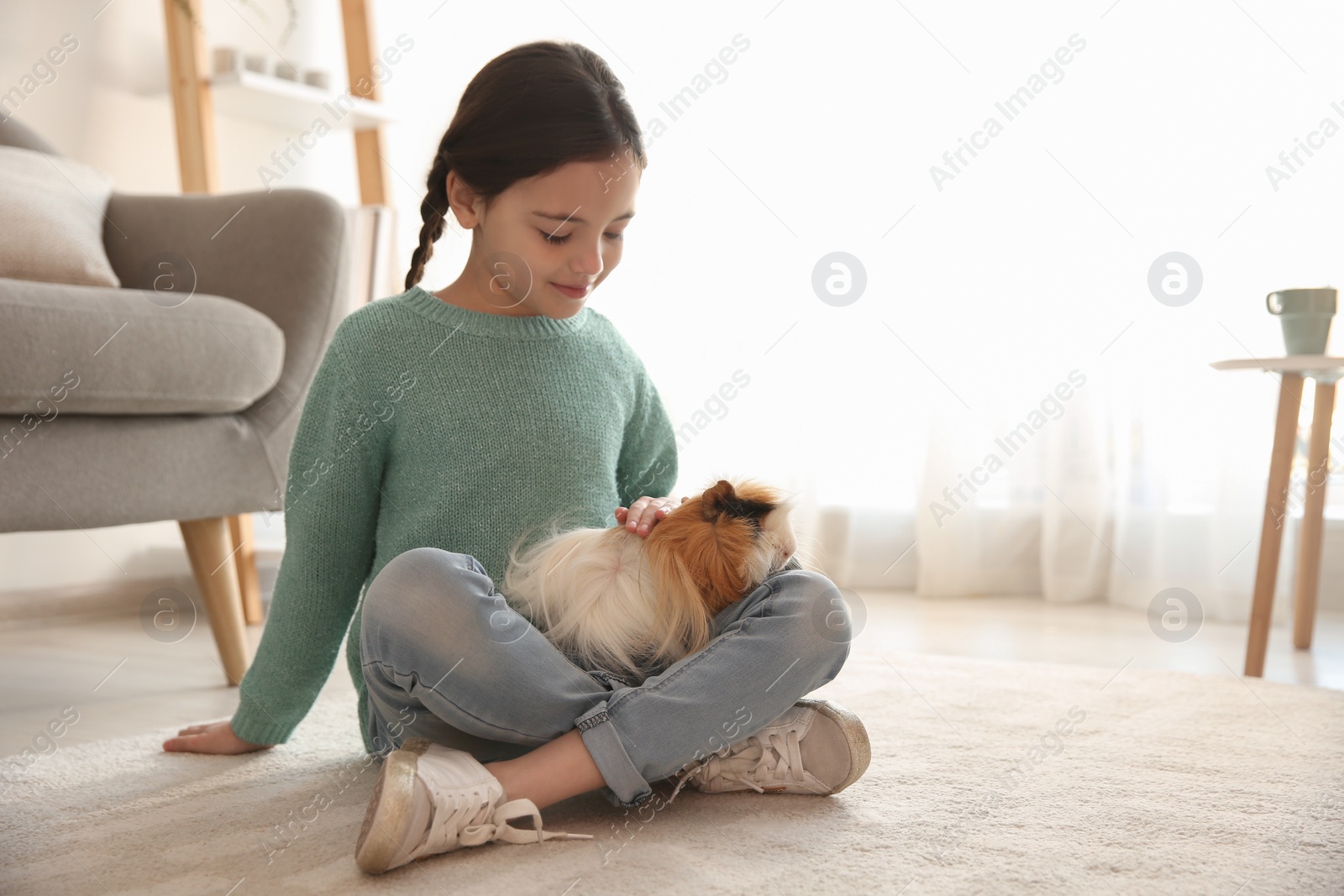 Photo of Happy little girl with guinea pig at home. Childhood pet