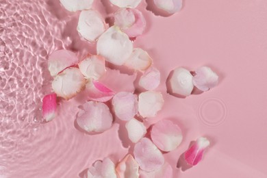 Photo of Beautiful rose petals in water on pink background, top view