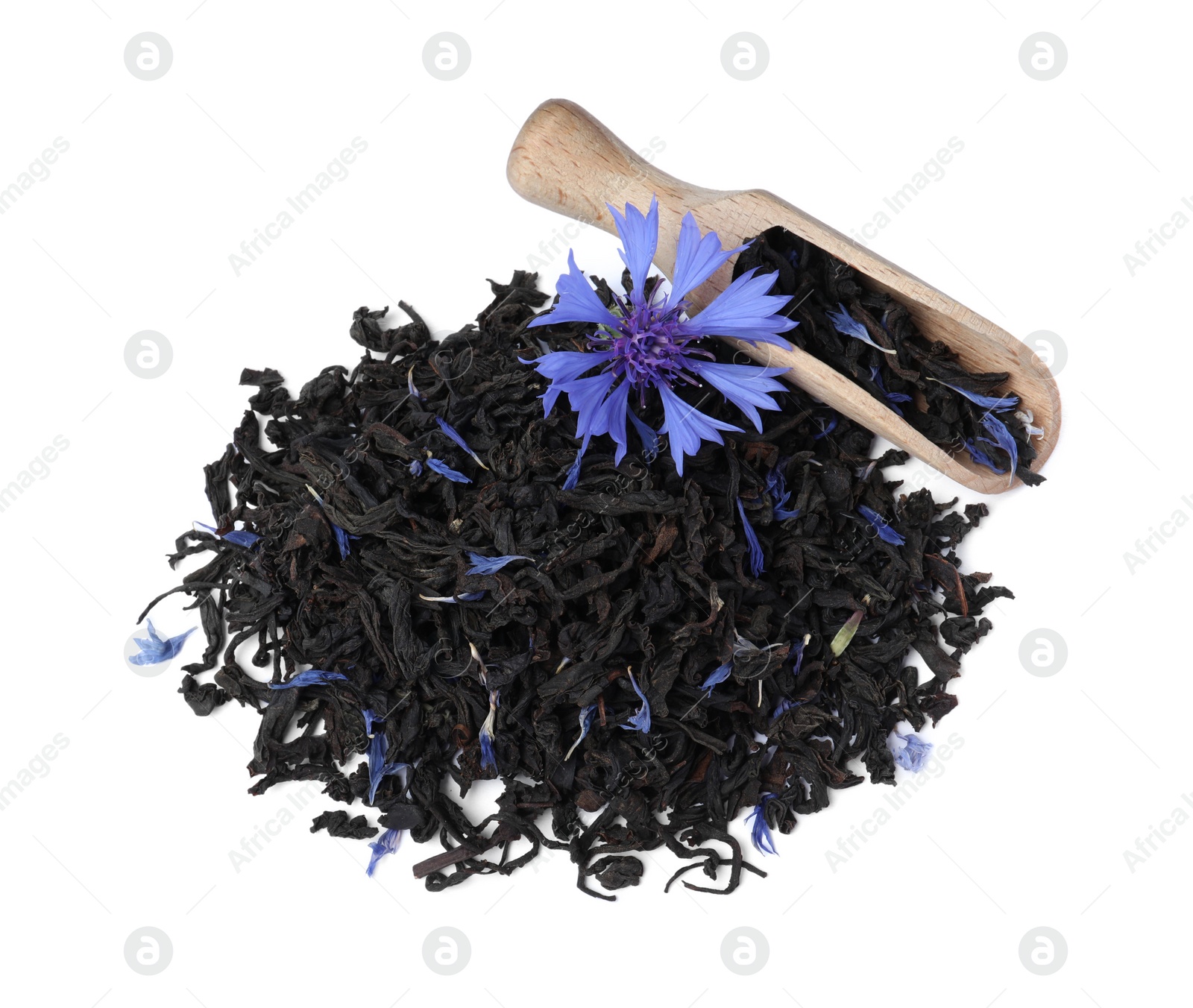 Photo of Dried cornflower tea and fresh flower on white background, top view