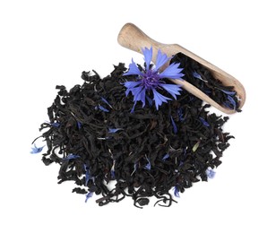 Dried cornflower tea and fresh flower on white background, top view