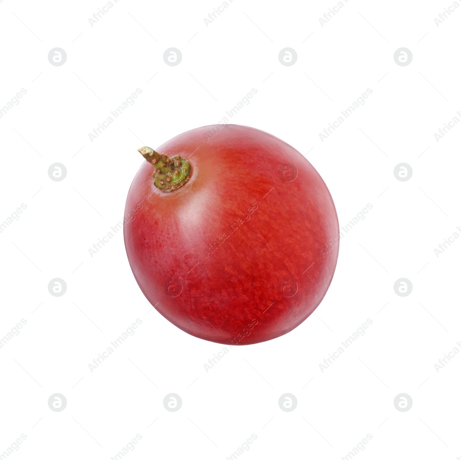 Photo of One ripe red grape isolated on white