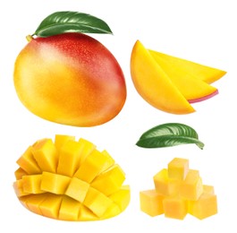 Image of Set with delicious ripe mangos on white background