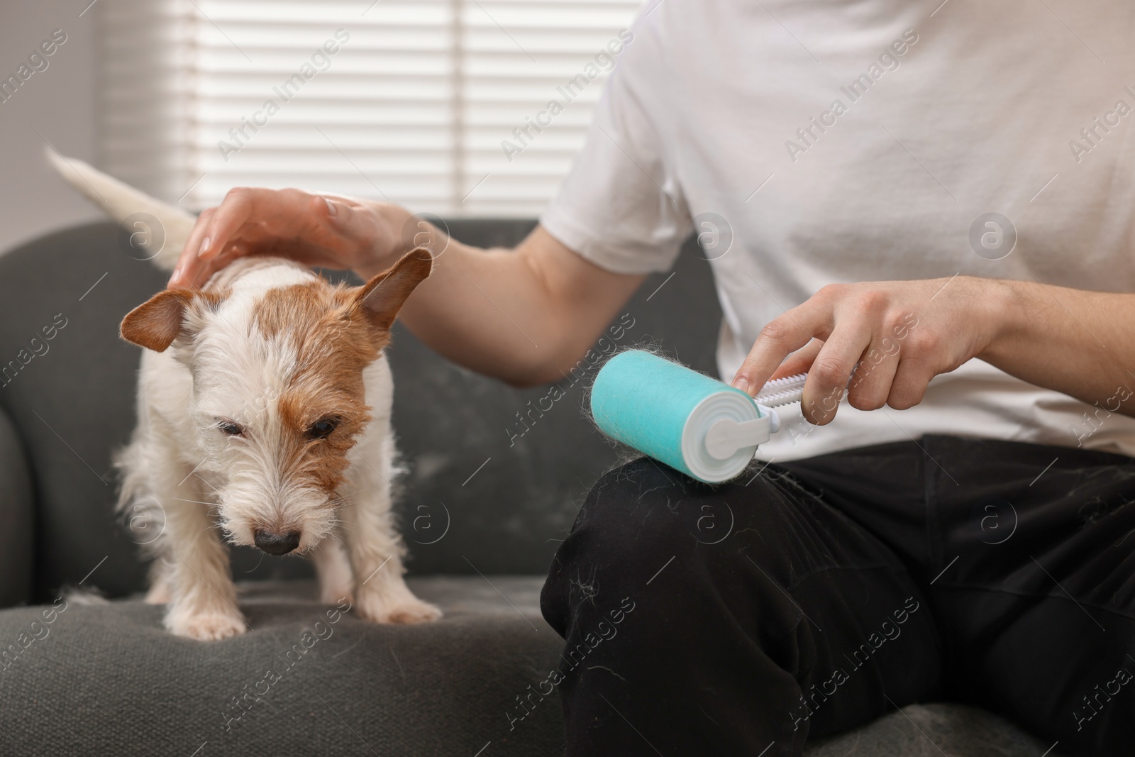 Photo of Pet shedding. Man with lint roller removing dog's hair from pants at home, closeup