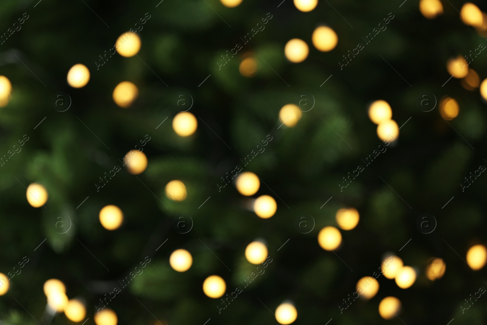 Photo of Abstract background with blurred yellow Christmas lights, bokeh effect