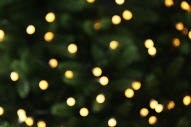 Photo of Abstract background with blurred yellow Christmas lights, bokeh effect